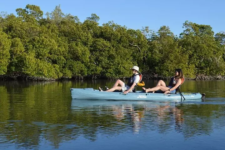 Deluxe Kayak Tour Marco Island and Naples, Florida
