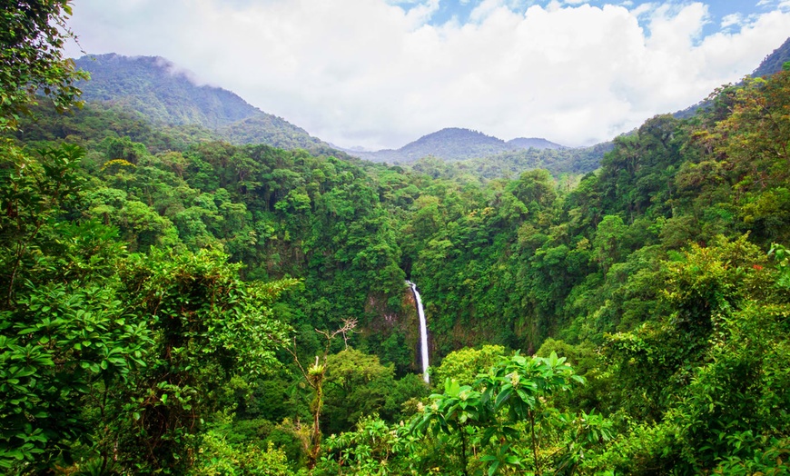 Image 12: ✈ COSTA RICA | San José - Autotour entre forêt tropicale et plage e...