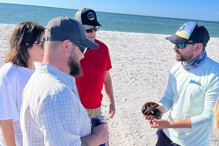 Marco Island Wildlife Sightseeing and Shelling Tour