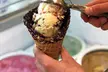5% Cash Back at Baskin Robbins - Orange - Second Medium