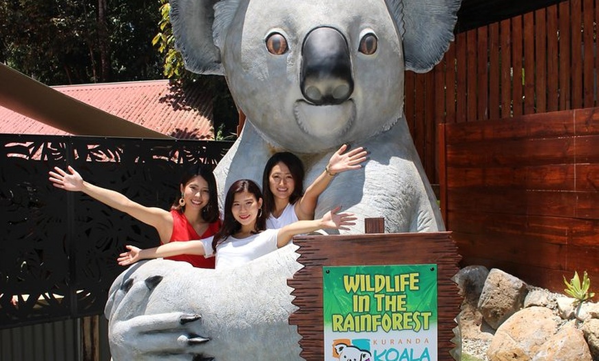 Image 2: Kuranda Koala Gardens and Birdworld Admission Tickets