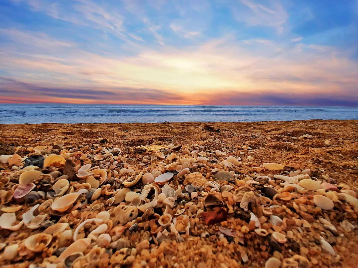 ✈ SRI LANKA | Colombo - Kultur und Entspannung in Sri Lanka 4*, 8 N...