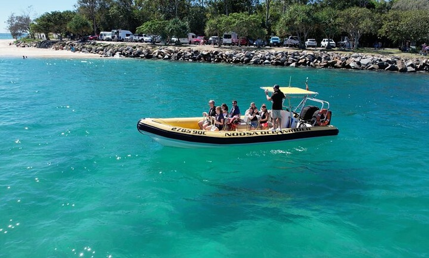 Image 15: Noosa Oceanrider Scenic Dolphin Safari