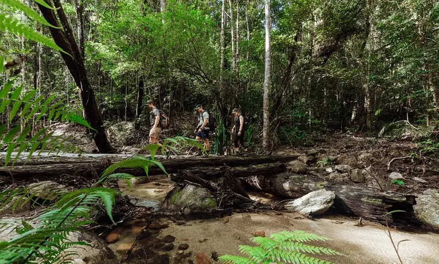 Image 3: Cairns Hiking Experience Incredible Mountains Remote Waterfall