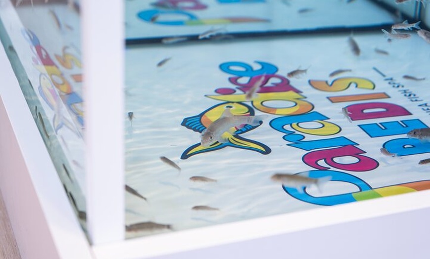 Image 7: Fish, Fun & Feet – Caribbean's Largest Fish Spa Experience!