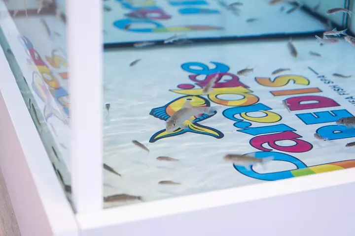 Fish, Fun & Feet – Caribbean's Largest Fish Spa Experience! - Image 7
