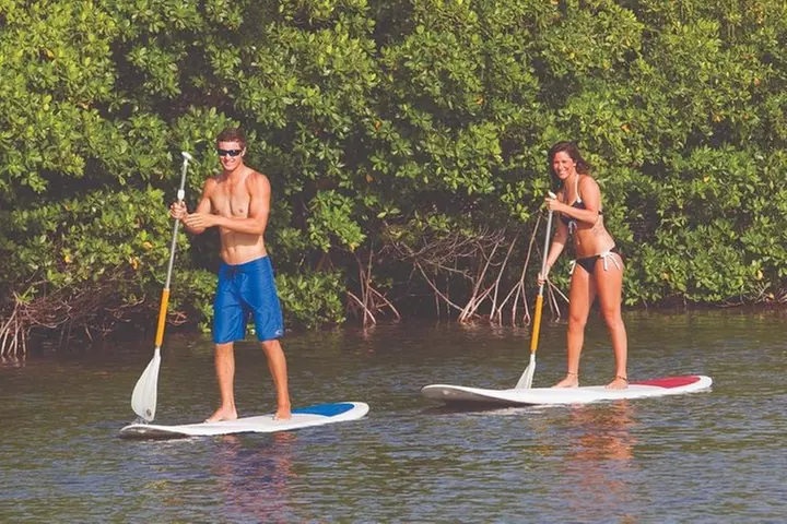 Key West: All-Inclusive Watersports Adventure with Lunch & Beer