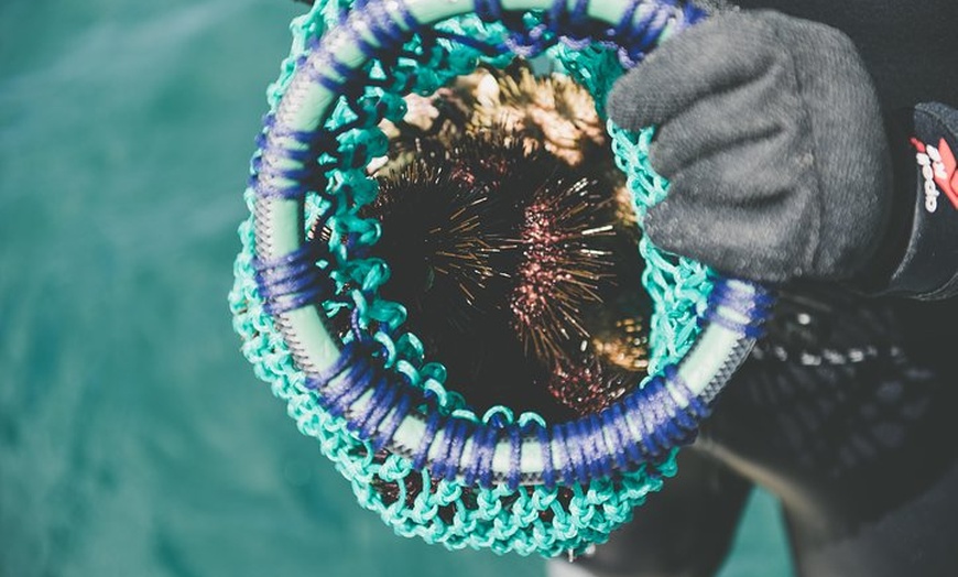 Image 12: Deep-to-Dish: Tasmanian Seafood Experience