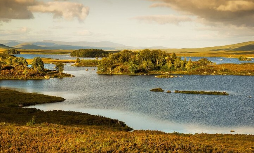 Image 23: 5 Days Orkney Islands & NC500 Tour from Glasgow