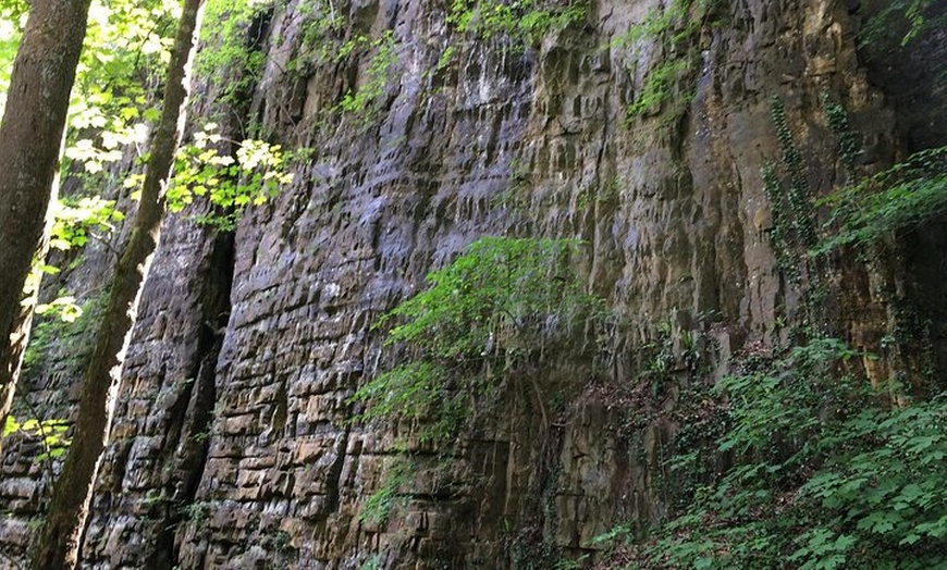 Image 6: Naturerlebnis Grüne Hölle mit köstlichem Überraschungsfinale