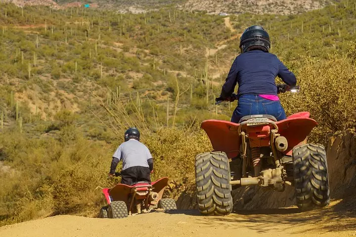 Guided Arizona Desert Tour by ATV - Centipede Tour - Primary Image