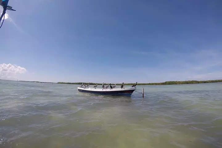 Nature Tour at Las Coloradas and Rio Lagartos Biosphere