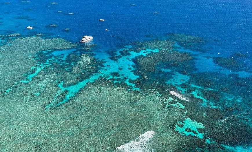 Image 13: Full Day Reef Cruise and 10 Minute Helicopter Scenic Flight