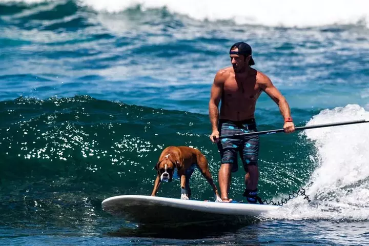 Stand-Up Paddleboard Lesson on the Big Island - Second Medium