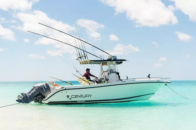 Humpback Whale Watching Private Charter (Half Day) - Grand Turk - Primary Image