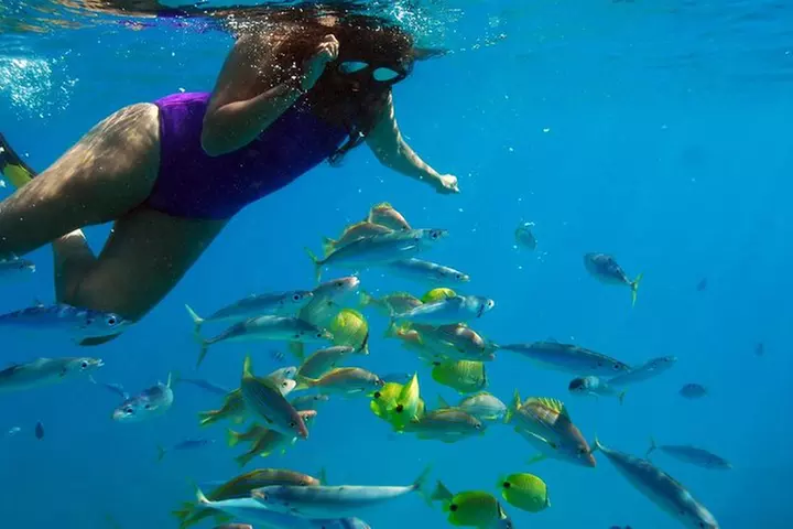 Ko Olina Catamaran Sail and Snorkel