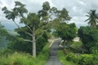 Puerto Rico Tour to El Yunque Rainforest Hiking to Waterfall - Second Medium