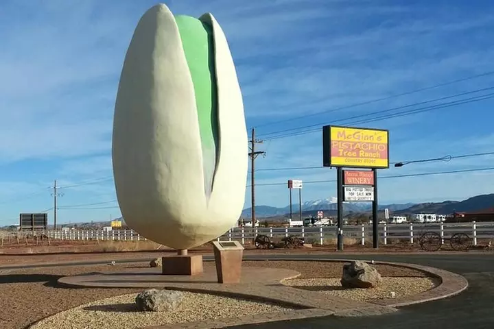 PistachioLand Farm Tour