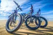 E-Bike Rental Adventure Sarasota Florida - Second Medium
