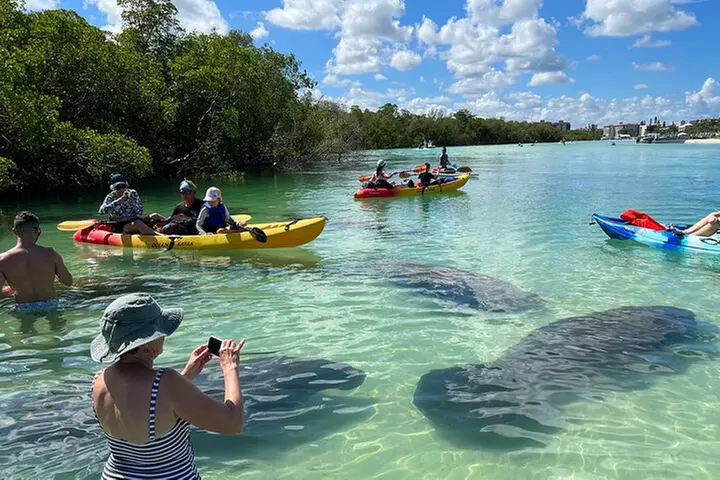 Guided Dolphin Eco Tour by Kayak & SUP - Fort Myers Beach, FL