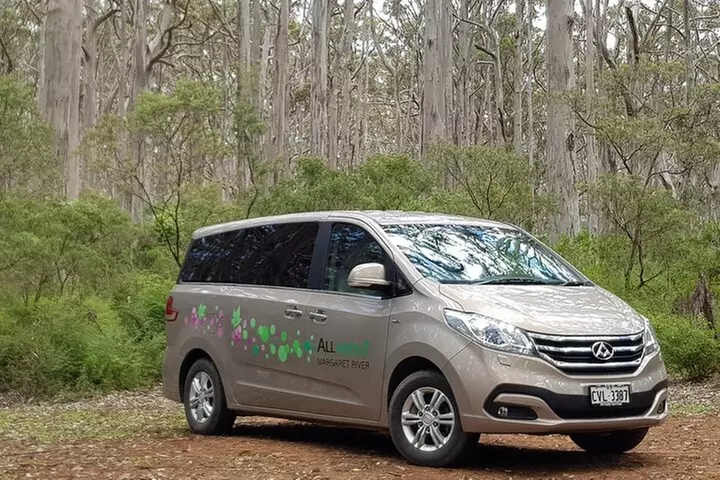 Secret Delights: Curated Wine, Coffee & Forest Experience