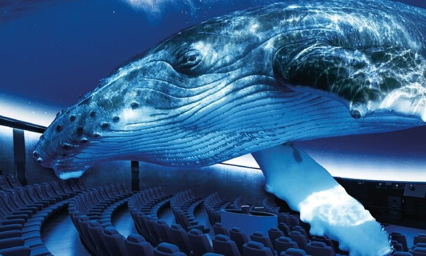 Image 5: Entrada a Palma Aquarium