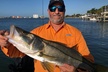 Half day fishing Charter in St. Petersburg Florida - Second Medium