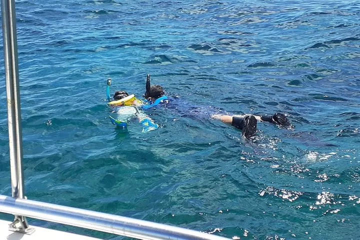 A Unique Private Snorkel Tour of Key Largo