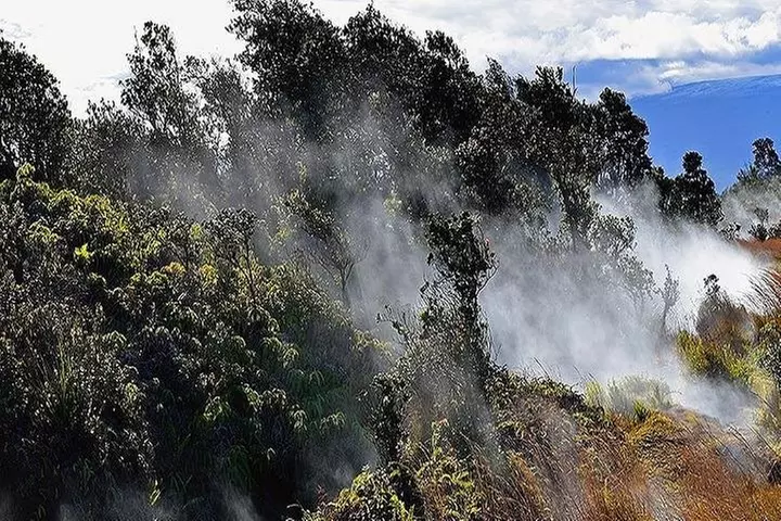 Hawaii Volcanoes National Park Experience from the Big Island - Primary Image