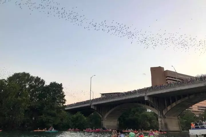 Congress Avenue Bat Bridge Kayak Tour in Austin