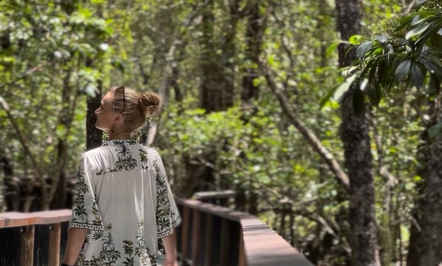 Image 4: Private Luxury Cape Tribulation Adventure and Crocodile Cruise