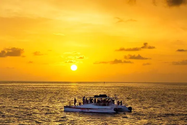 Key West Dolphin and Snorkel Experience