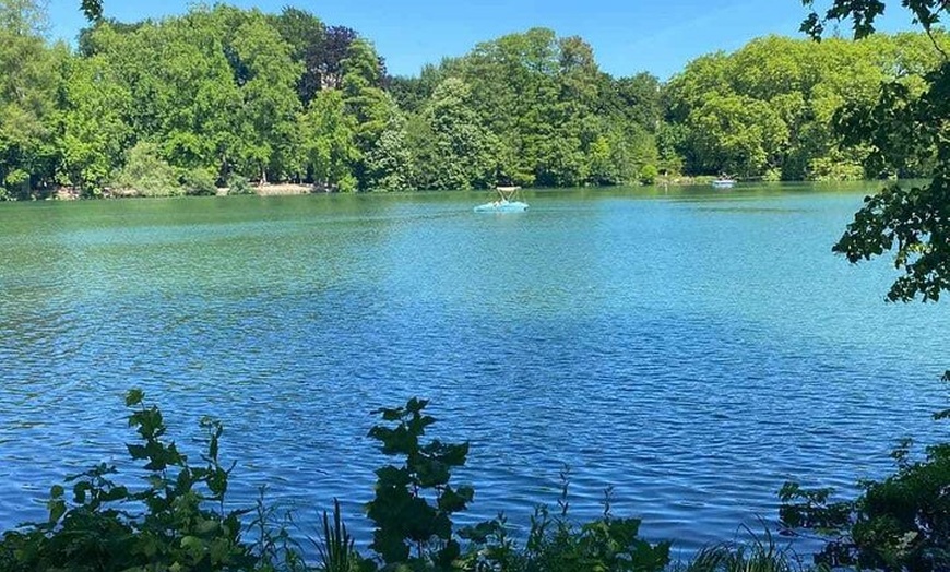Image 3: Visite du Parc de la Tête d'or en vélo-taxi