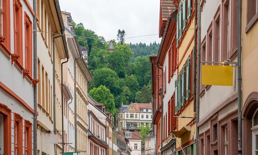 Image 8: Heidelbergs Stadthighlights mit einem Einheimischen erkunden