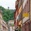 Image 8: Heidelbergs Stadthighlights mit einem Einheimischen erkunden