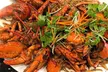 5% Cash Back at Ha Noi Pho - Second Medium