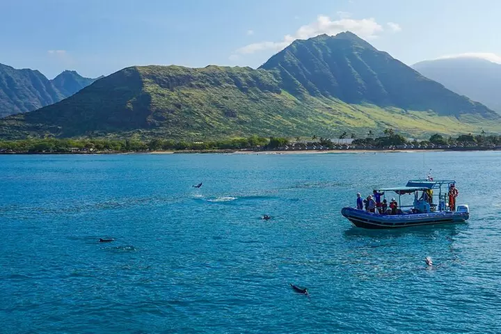 Oahu Swimming with Dolphins Speedboat Adventure