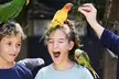 Maleny Botanic Gardens Bird Aviary Experience Ticket - Image 2