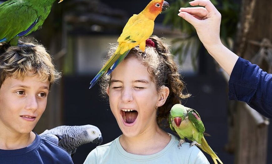 Image 2: Maleny Botanic Gardens Bird Aviary Experience Ticket