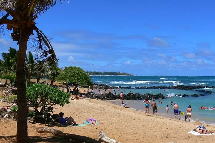 Kauai Waterfalls & Food Tasting-Small Group Tour