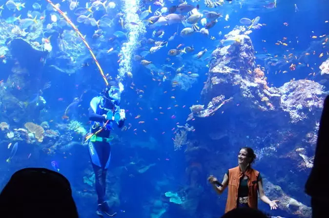 Viator Exclusive: California Academy of Sciences Early-Access Admission - Primary Image
