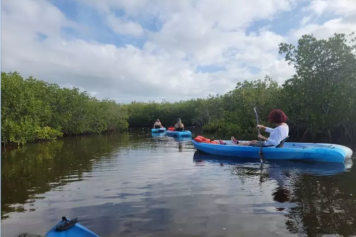 Kayak Rentals