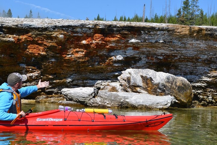 Lake Yellowstone Half Day Kayak Tours Past Geothermal Features