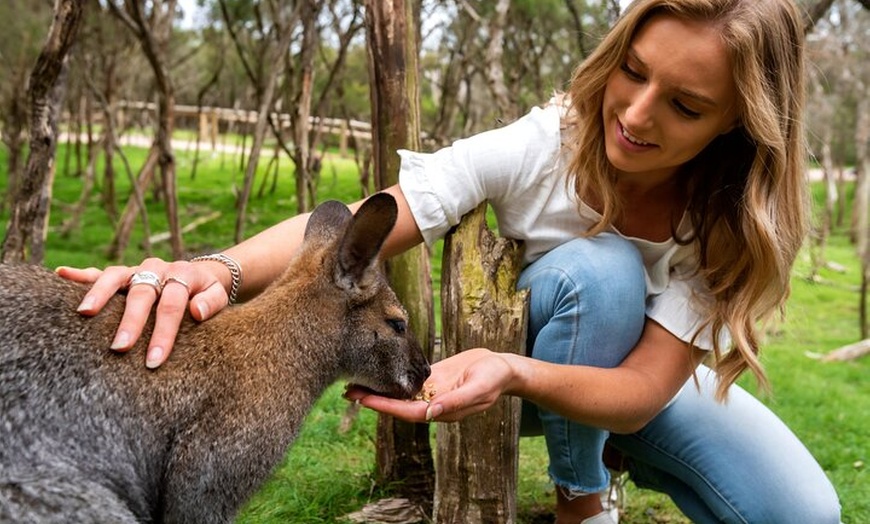 Image 1: Full-Day Penguins and Wildlife Nature Experience from Melbourne