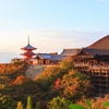 Image 20: ✈ GIAPPONE | Da Tokyo a Osaka - Paradiso Giapponese: Tokyo, Kyoto, ...