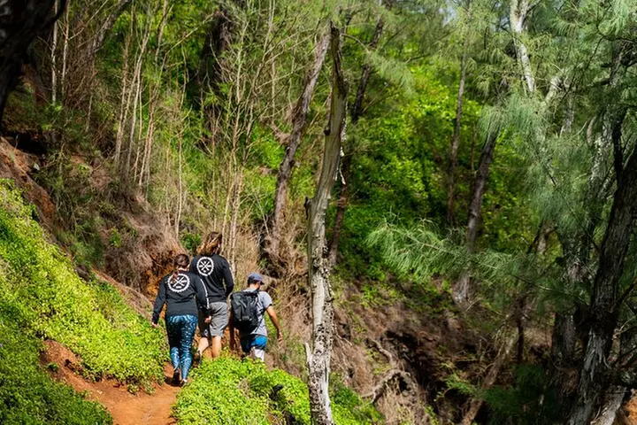 VIP Private Full-Day Road to Hana Tour from Lahaina-Kapalua - Second Medium