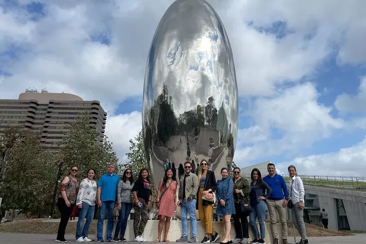 Astroville Best of Houston City Driving Tour with Live Guide