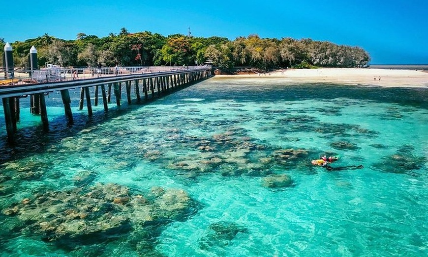 Image 7: Snorkelling and Glass Bottom Boat at Green Island from Cairns