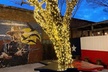 5% Cash Back at Elm St Saloon - Second Medium