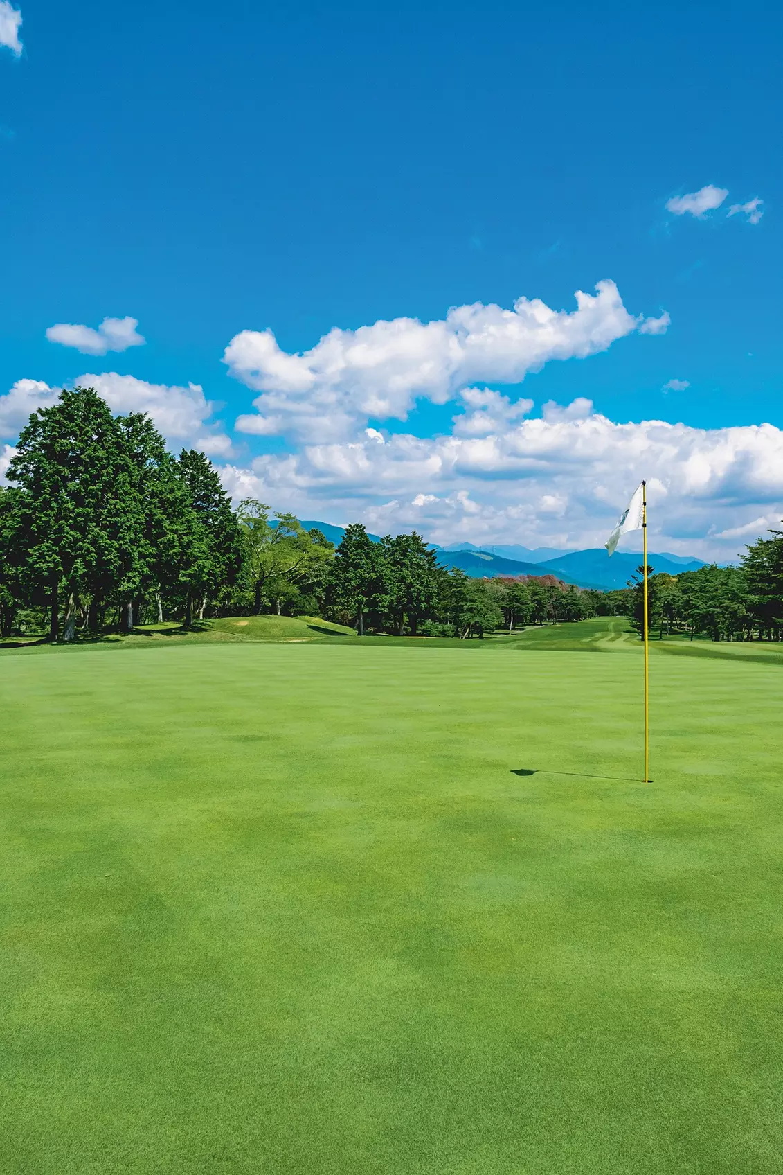 $48 For 18 Holes Of Golf For 2 Including Greens Fees & Cart (Reg. $96) - Second Medium